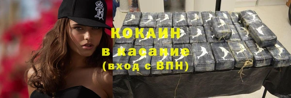 прущие грибы Вяземский
