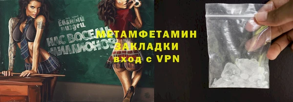 прущие грибы Вяземский