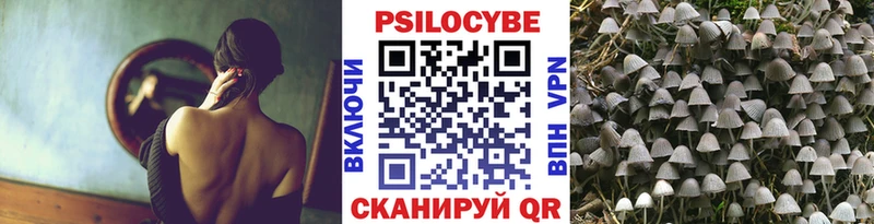 Галлюциногенные грибы GOLDEN TEACHER  даркнет наркотические препараты  Тбилисская 
